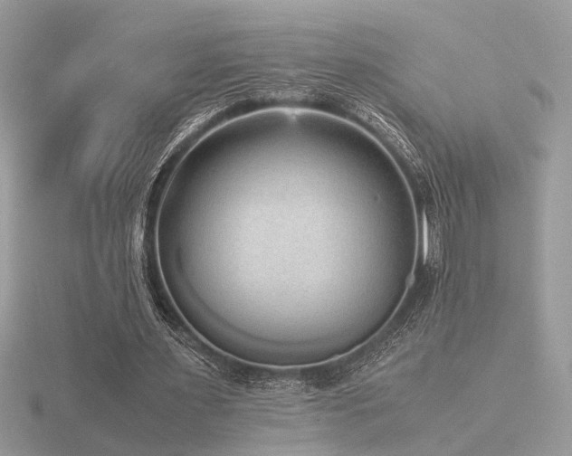 X0000116560483200912101453
