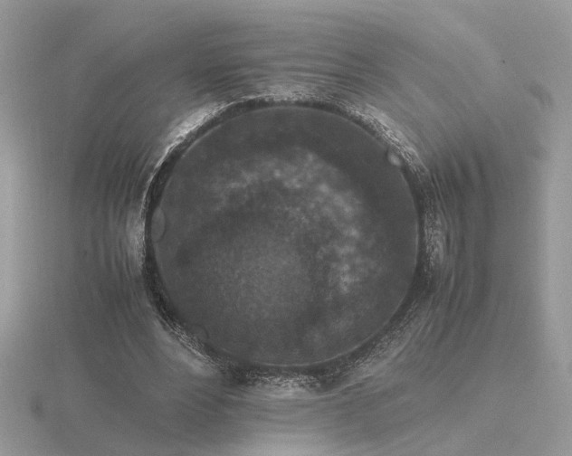 X0000116560488200912101453
