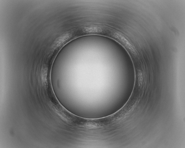 X0000116560490200912101453