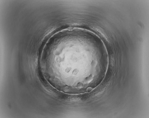 X0000116560491200912101453