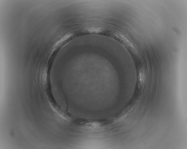 X0000116560492200912101453