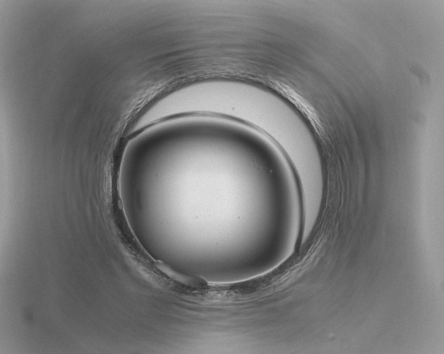 X0000116560493200912101453