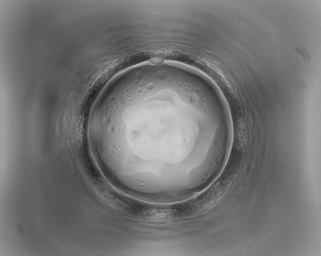 X0000116560495200912101453
