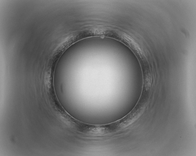 X0000116560497200912101453