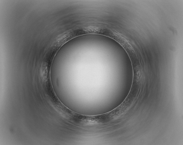 X0000116560498200912101453