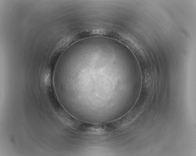 X0000116560502200912101453