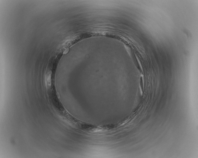 X0000116560504200912101453