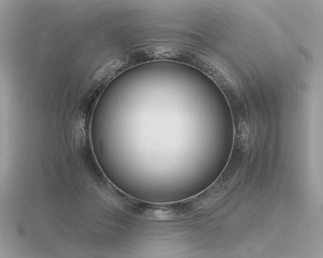 X0000116560506200912101453