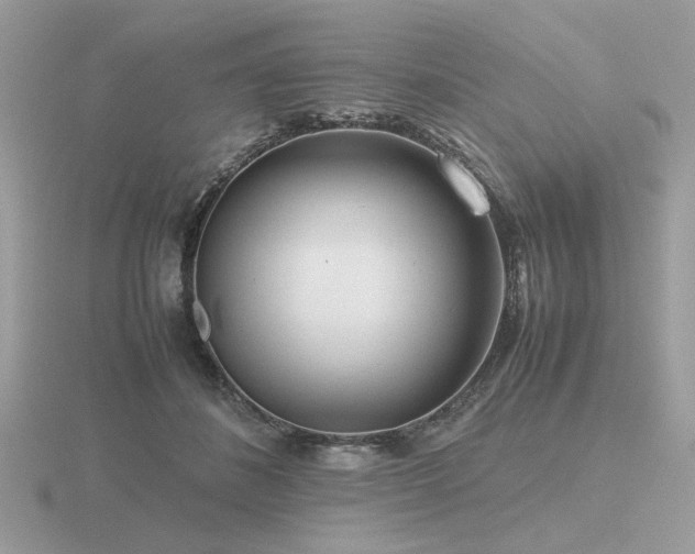 X0000116560508200912101453