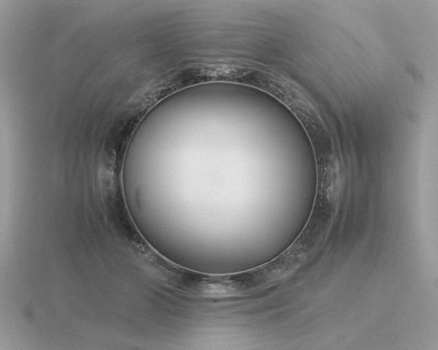 X0000116560510200912101453