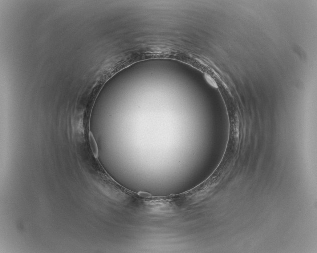 X0000116560516200912101453