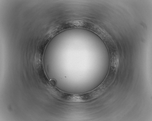 X0000116560518200912101453