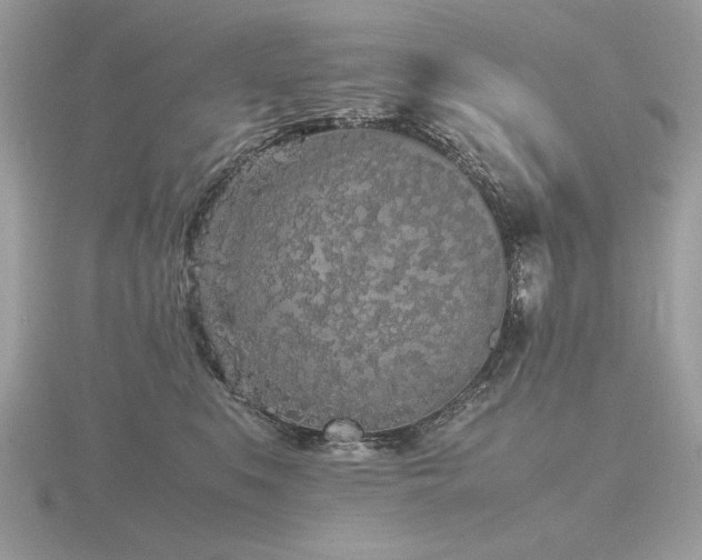 X0000116560519200912101453