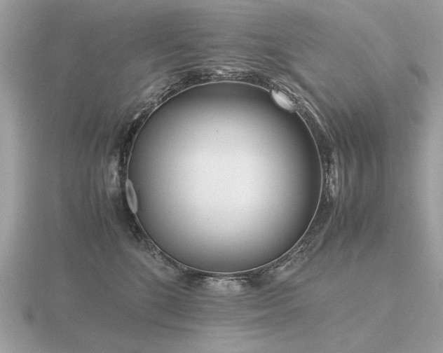 X0000116560520200912101453