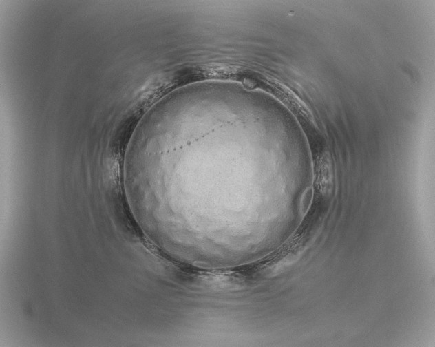 X0000116560523200912101453