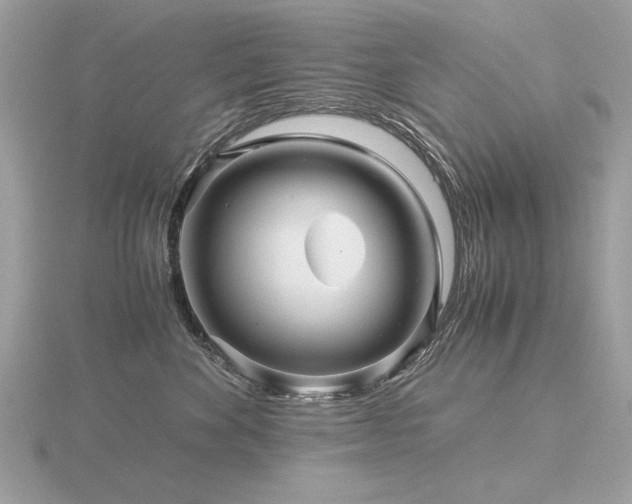 X0000116560524200912101453