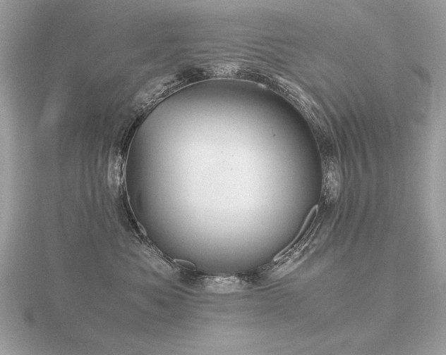 X0000116560525200912101453