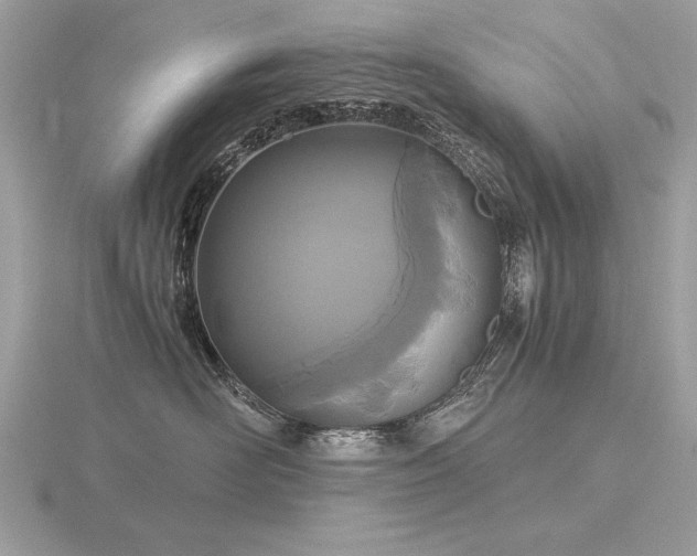 X0000116560526200912101453