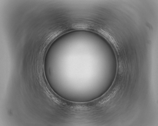 X0000116560529200912101452
