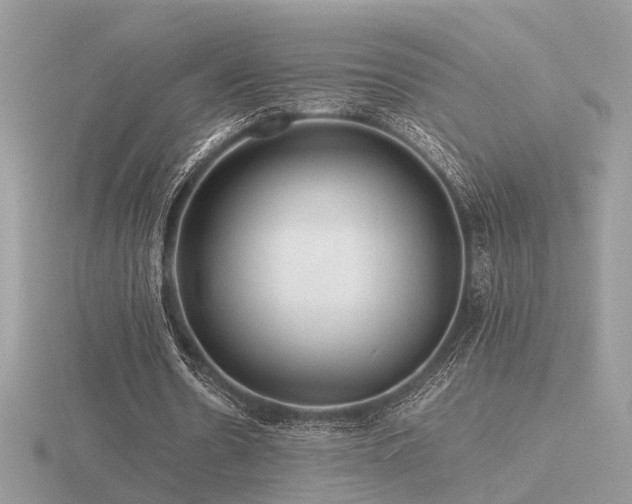 X0000116560530200912101452