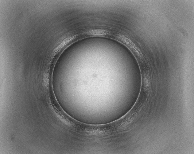 X0000116560533200912101452