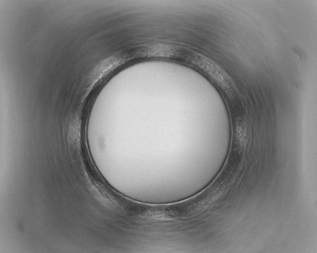 X0000116560534200912101452