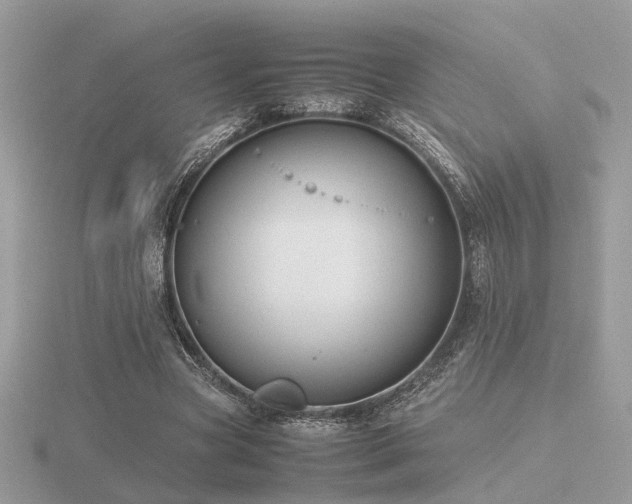 X0000116560537200912101452