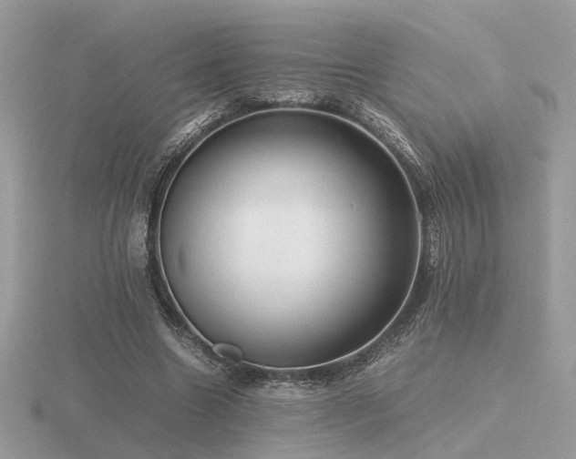 X0000116560538200912101452
