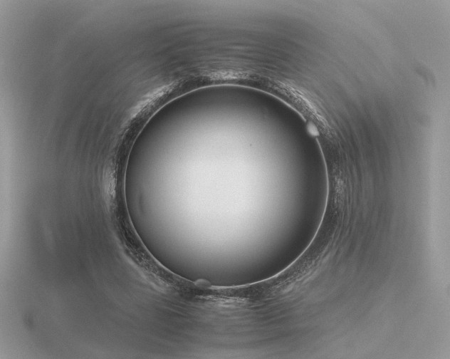X0000116560539200912101452