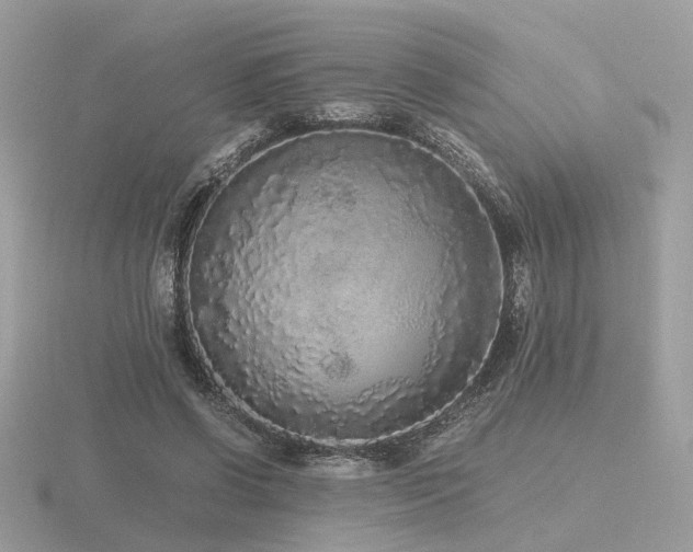 X0000116560542200912101452