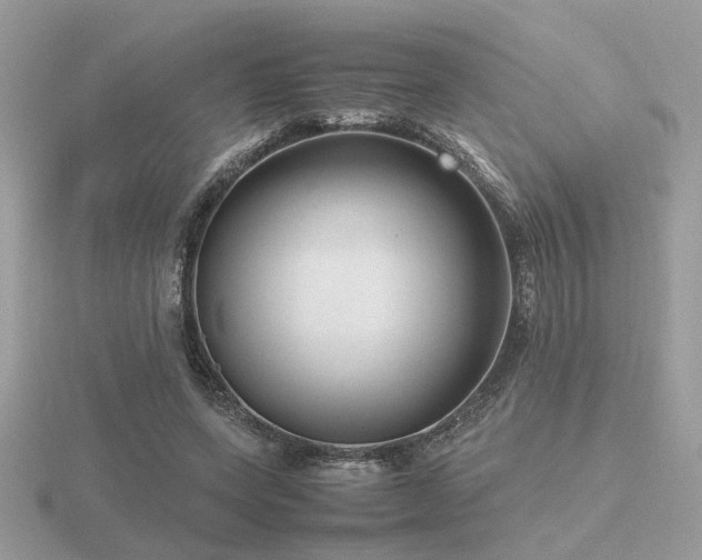 X0000116560543200912101452
