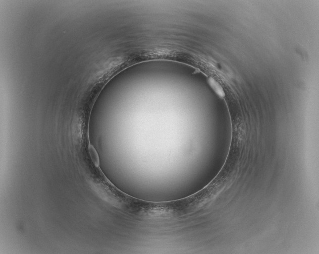 X0000116560546200912101452