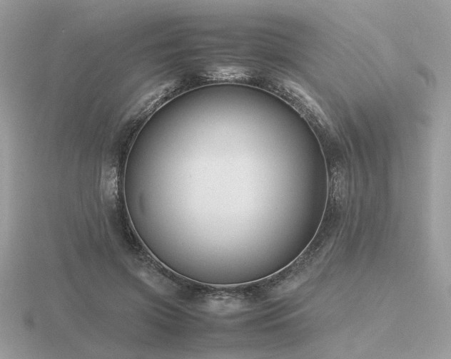 X0000116560549200912101452