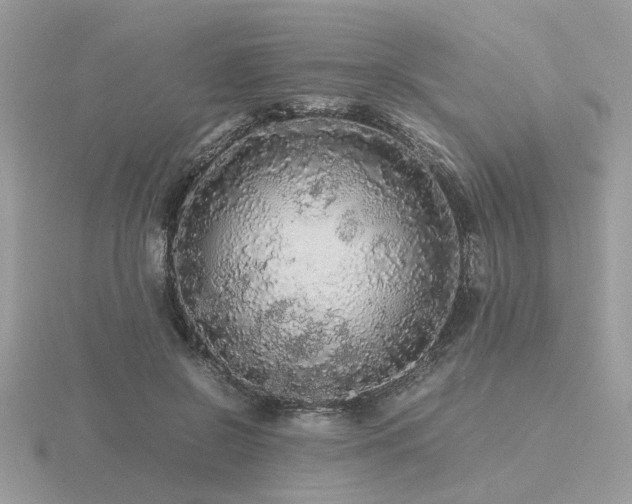 X0000116560550200912101452