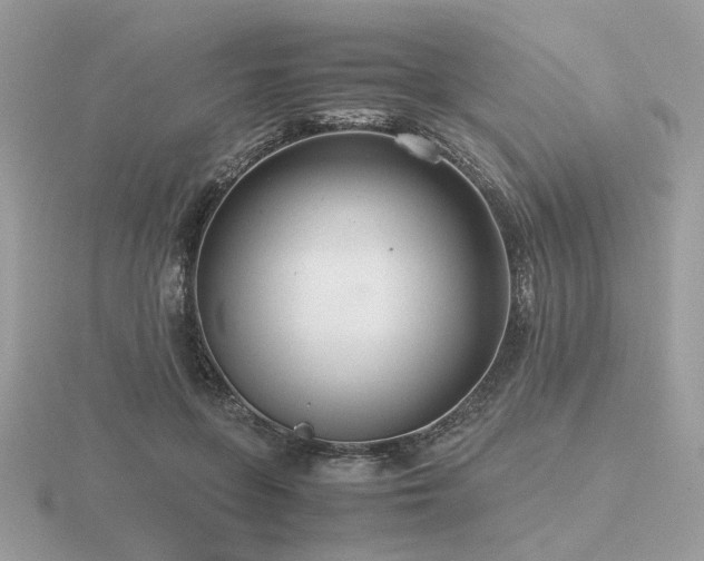 X0000116560551200912101452