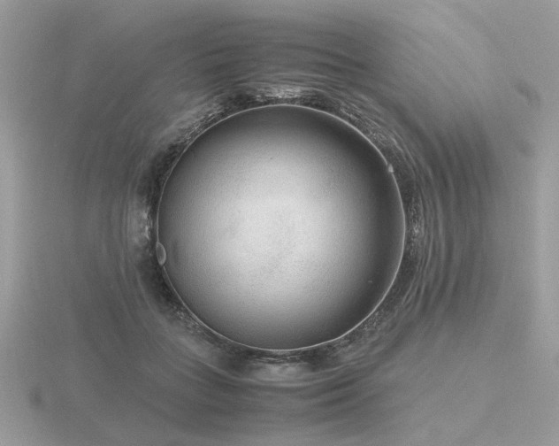 X0000116560555200912101452