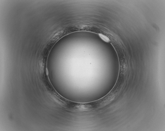 X0000116560558200912101452