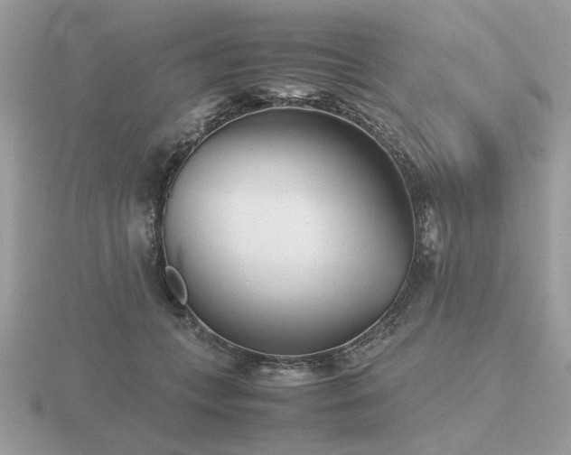X0000116560559200912101452