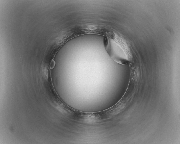 X0000116560562200912101452