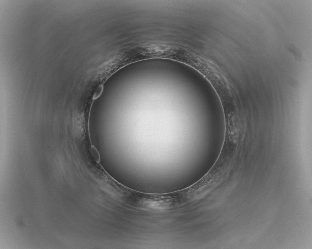 X0000116560563200912101452