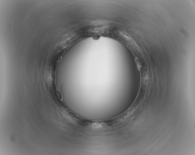 X0000116560566200912101452