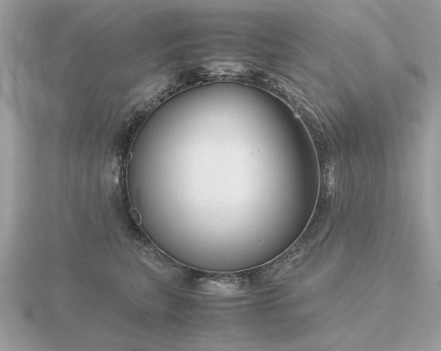 X0000116560567200912101452
