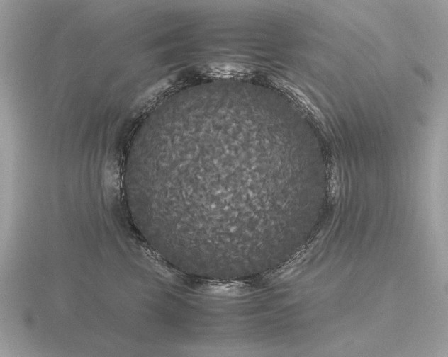 X0000116560569200912101452