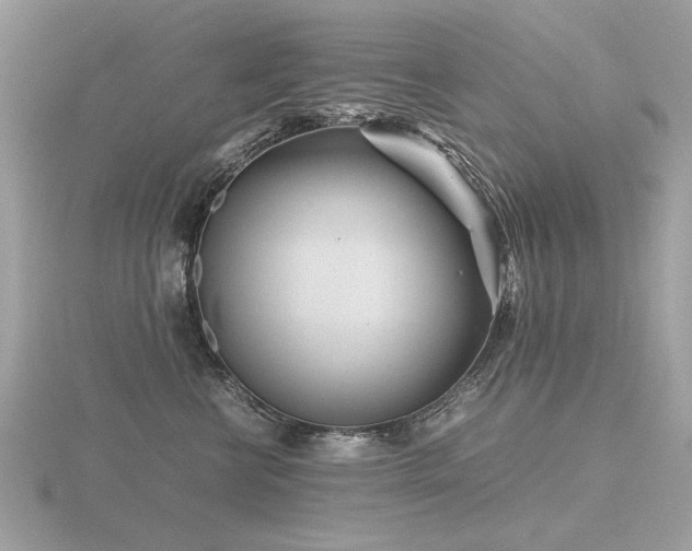 X0000116560570200912101452