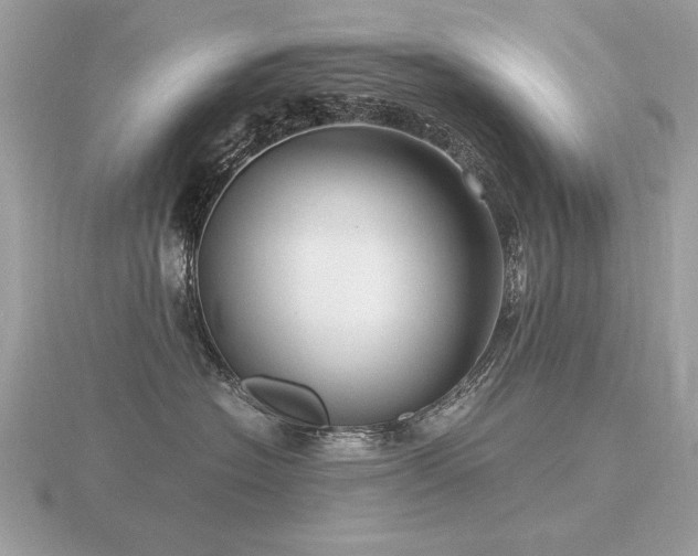 X0000116560574200912101453