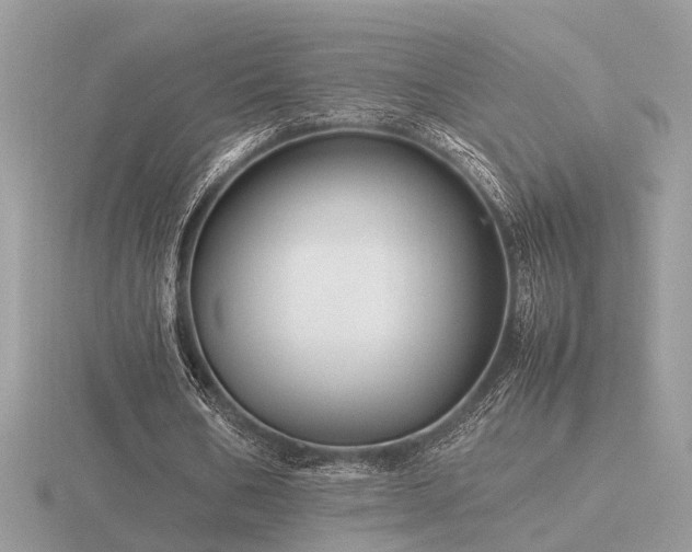 X0000116560578200912101452