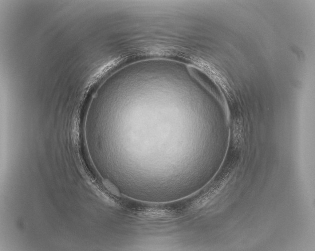 X0000116560581200912101452
