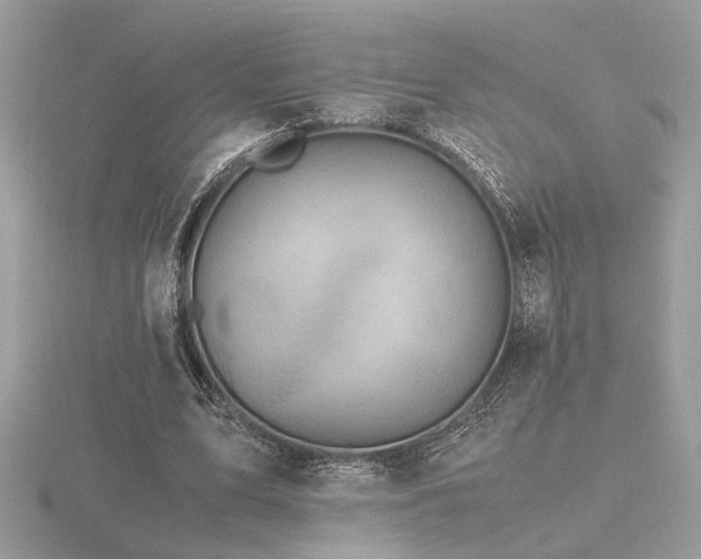 X0000116560583200912101452