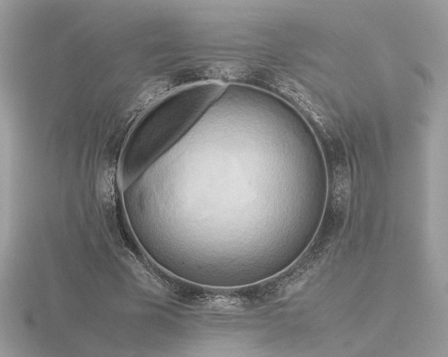 X0000116560585200912101452