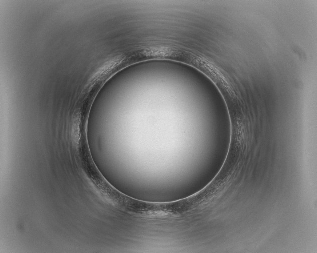 X0000116560586200912101452